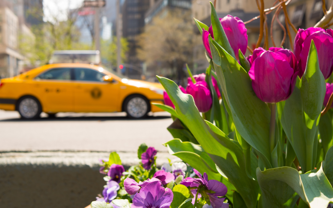 Se avecina un período de clima más cálido en Nueva York, pero el invierno aún no ha terminado por completo