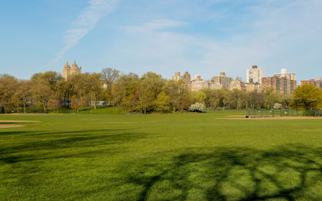 Gran piscina abrirá en centro recreativo de Central Park esta primavera