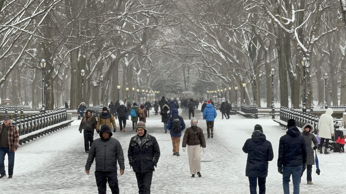 Primera nevada en Nueva York