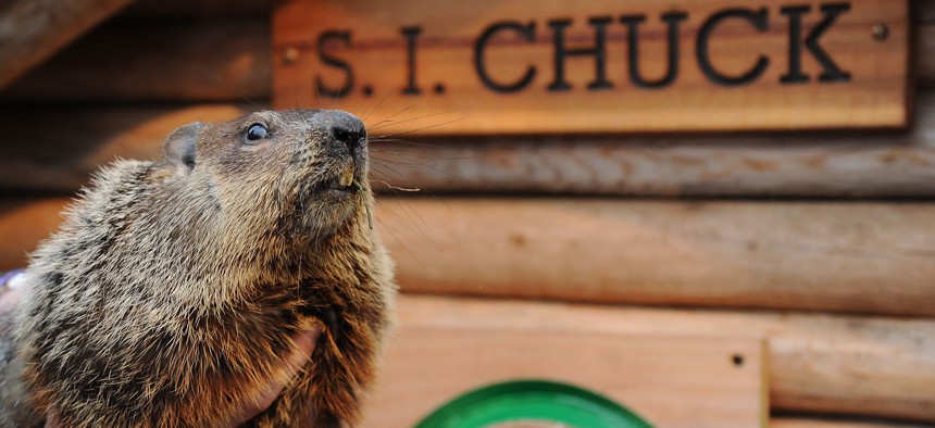 Una primavera temprana según la predicción de la marmota Chuck