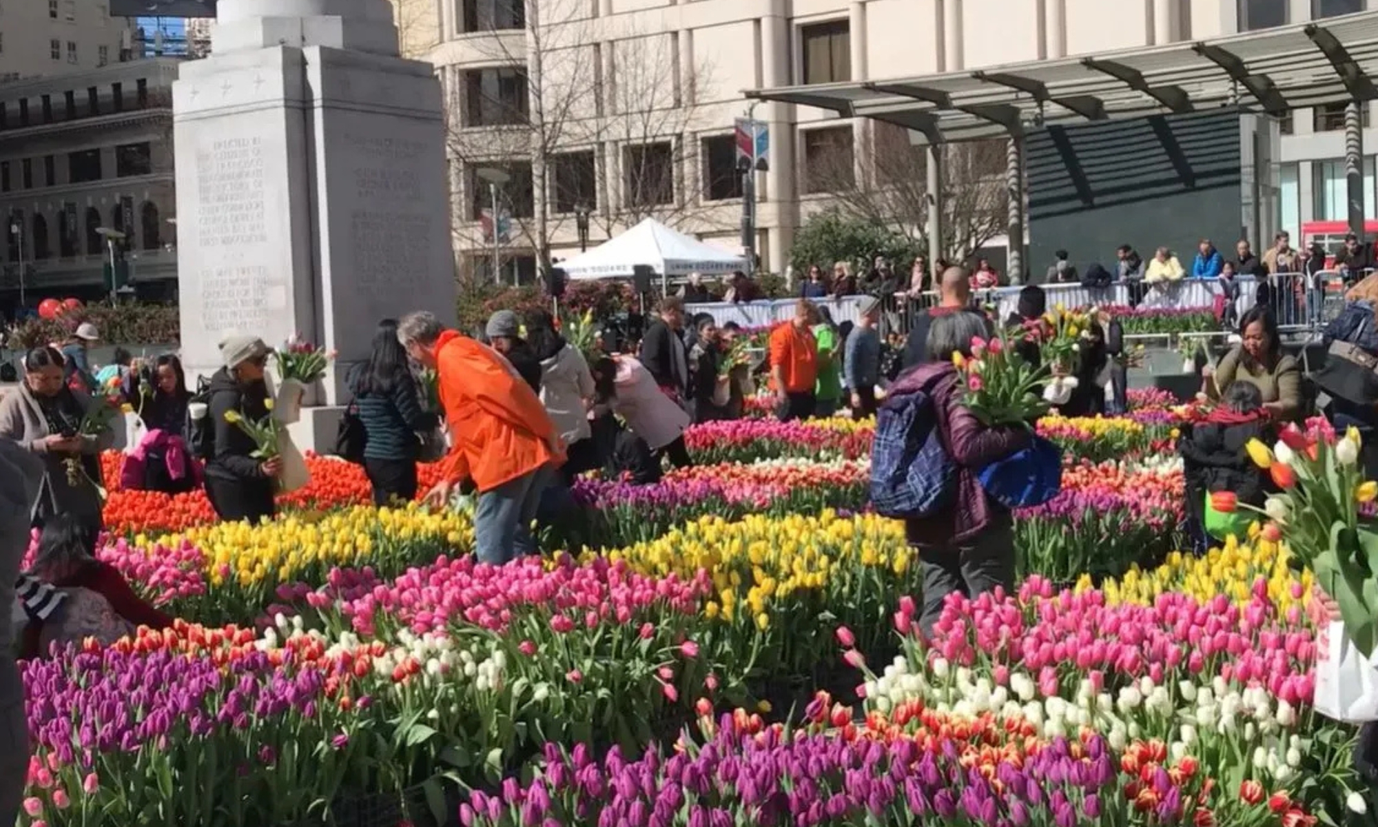 Día del Tulipán en Union Square