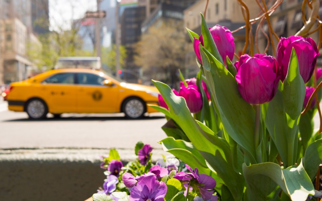 pronósticos del tiempo en Nueva York