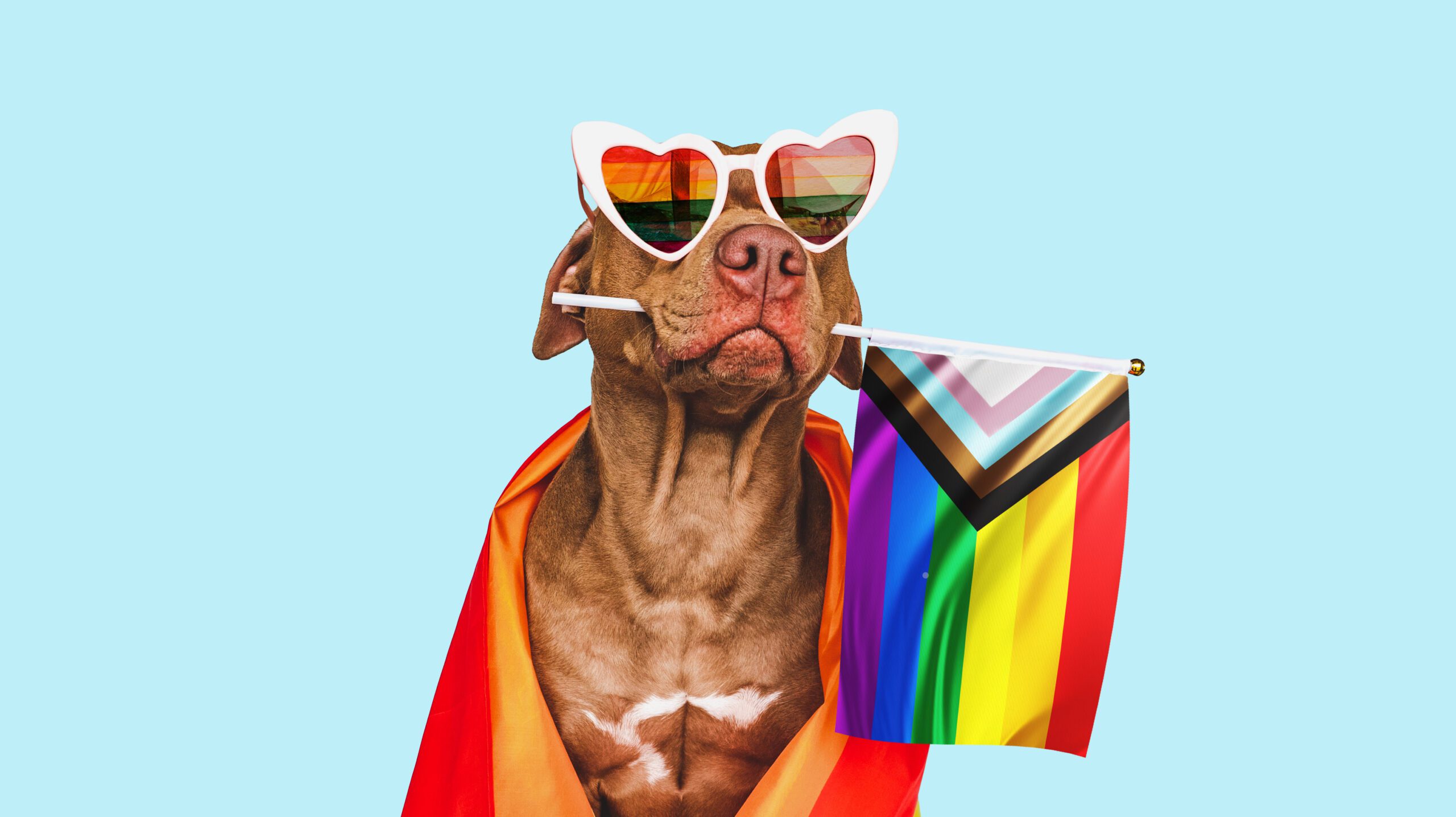 Festival Woof