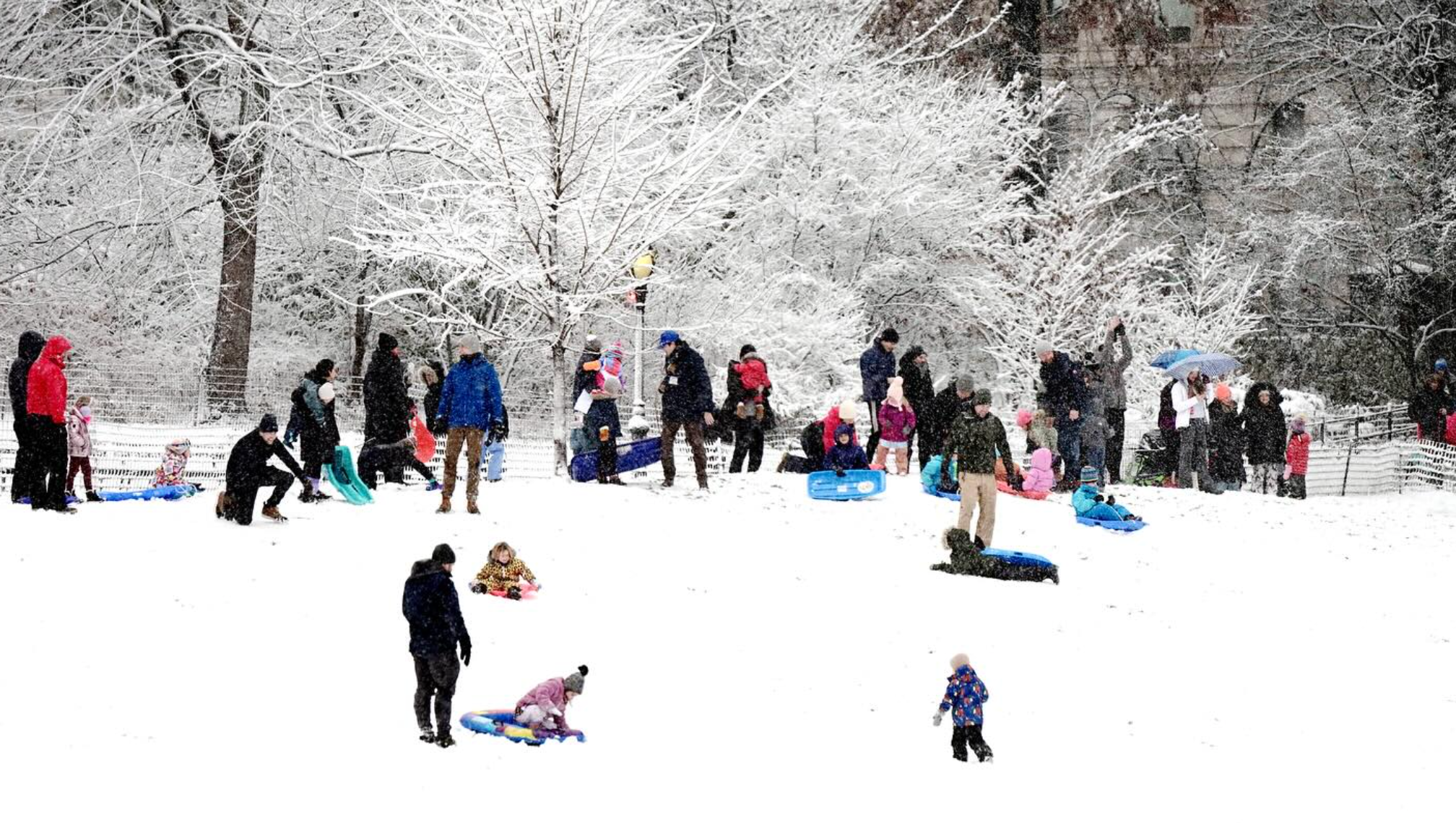 Holiday Celebration en NYC Parks