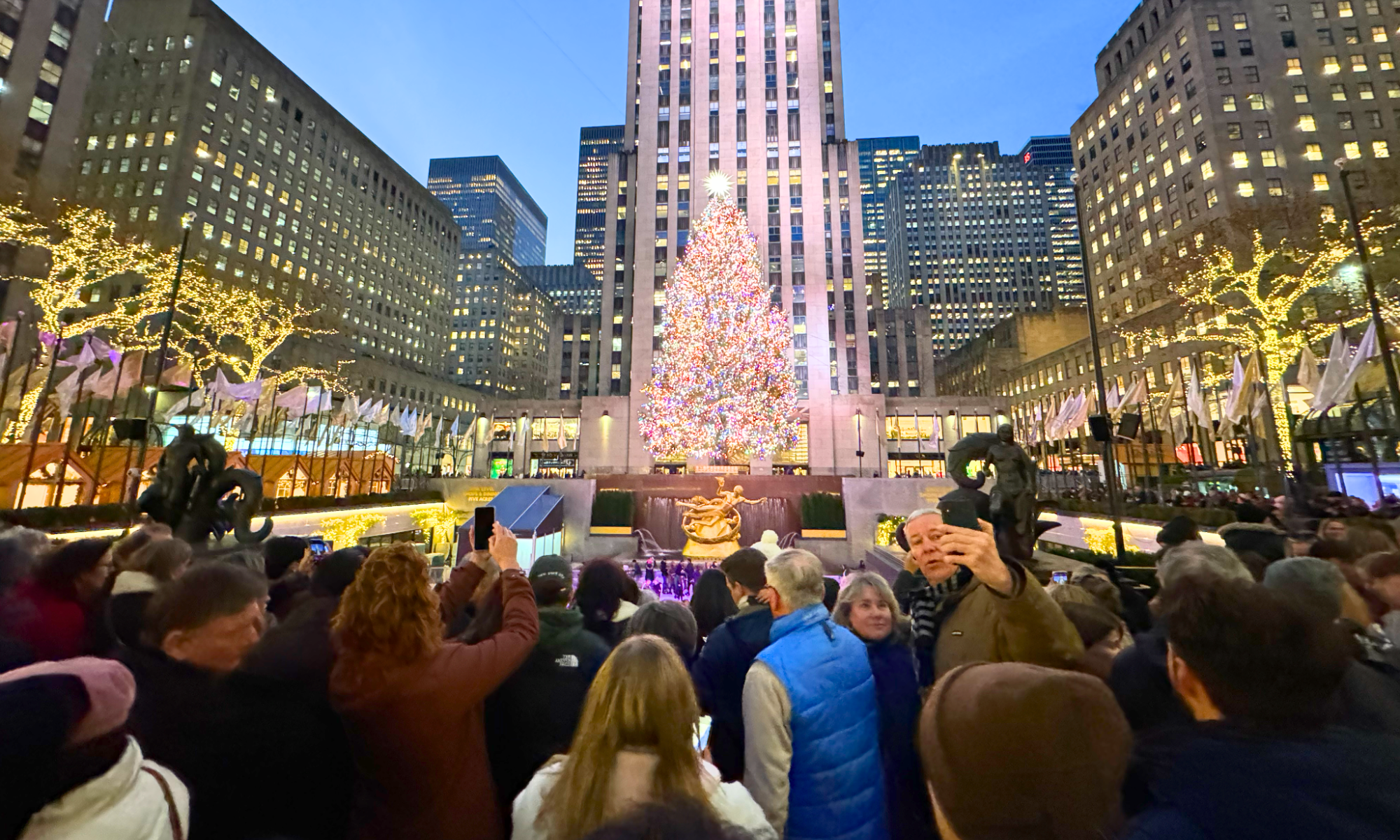 advertencia por carteristas