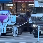 La Luna se teñirá de rojo sobre Nueva York en marzo