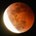 Nueva línea de transporte para Nueva York cambia la forma de ir entre Brooklyn y Queens