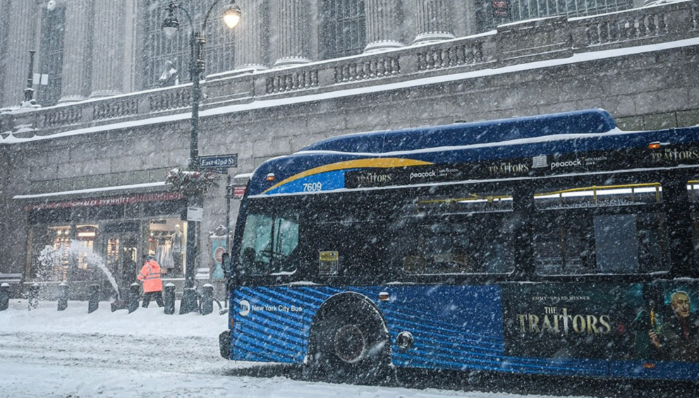 estado servicios básicos Nueva York