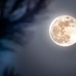 Alerta en Nueva York por impacto de bomba ciclónica