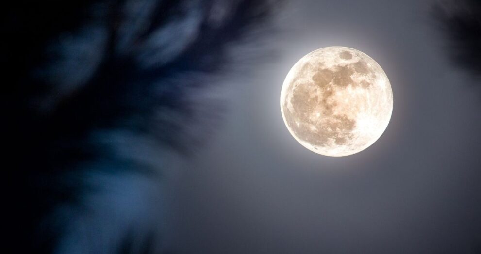 Snow Moon en Nueva York