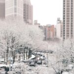 Nueva York es el destino Nº1 de EEUU en los premios Travelers’ Choice Awards 2026