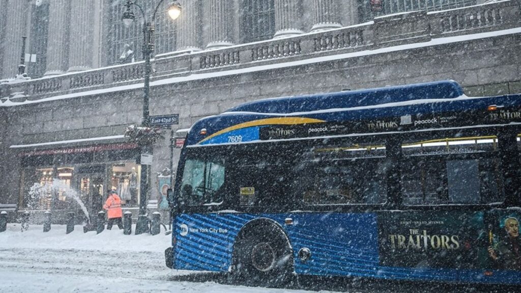 estado servicios básicos Nueva York