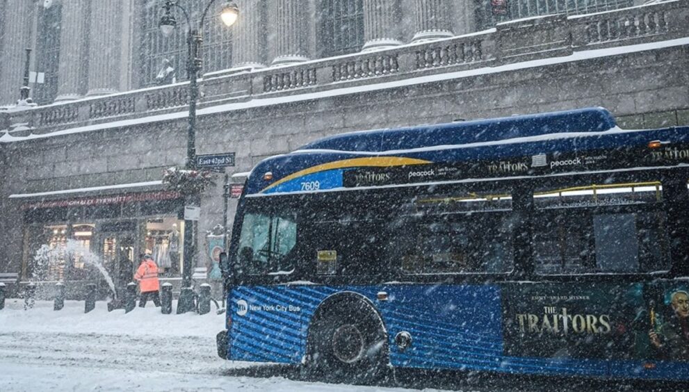 estado servicios básicos Nueva York