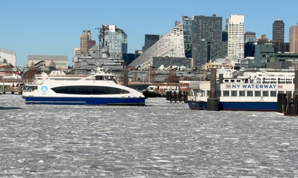 suspensión NYC Ferry
