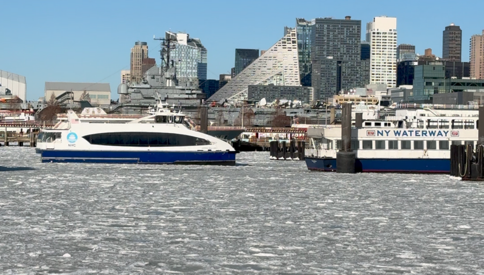 suspensión NYC Ferry