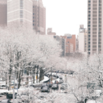 TJ Maxx prepara su desembarco en Nueva York