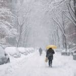 NJ Transit insta a trabajadores a hacer teletrabajo por un mes ante recortes de servicio