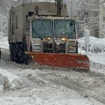 Tulip Day 2026 abandona Nueva York y florece en Washington